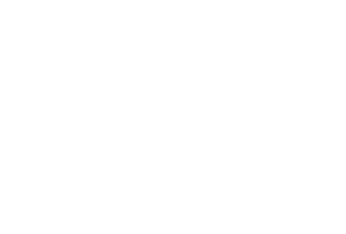 Alle by Brilliant Distinctions Logo